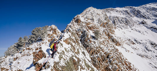 the-mountain-guides