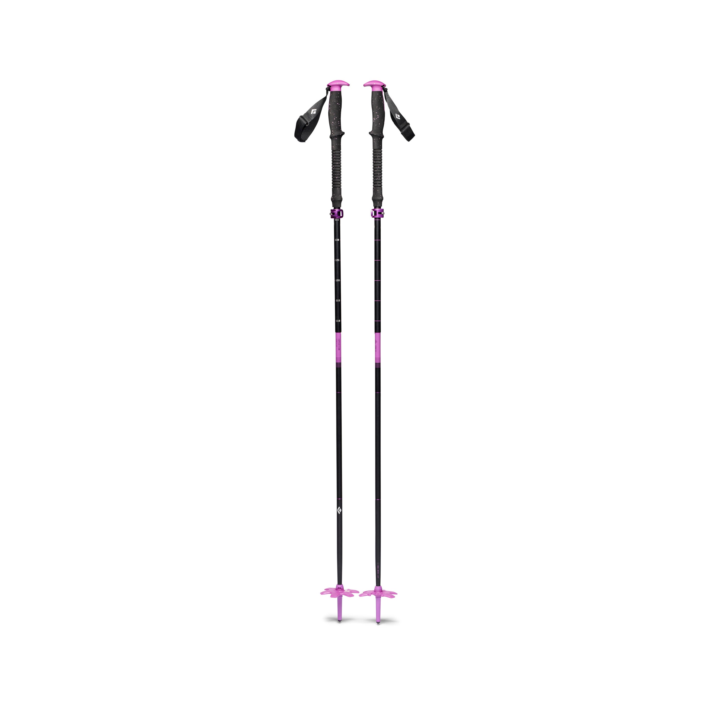 Piton Purple