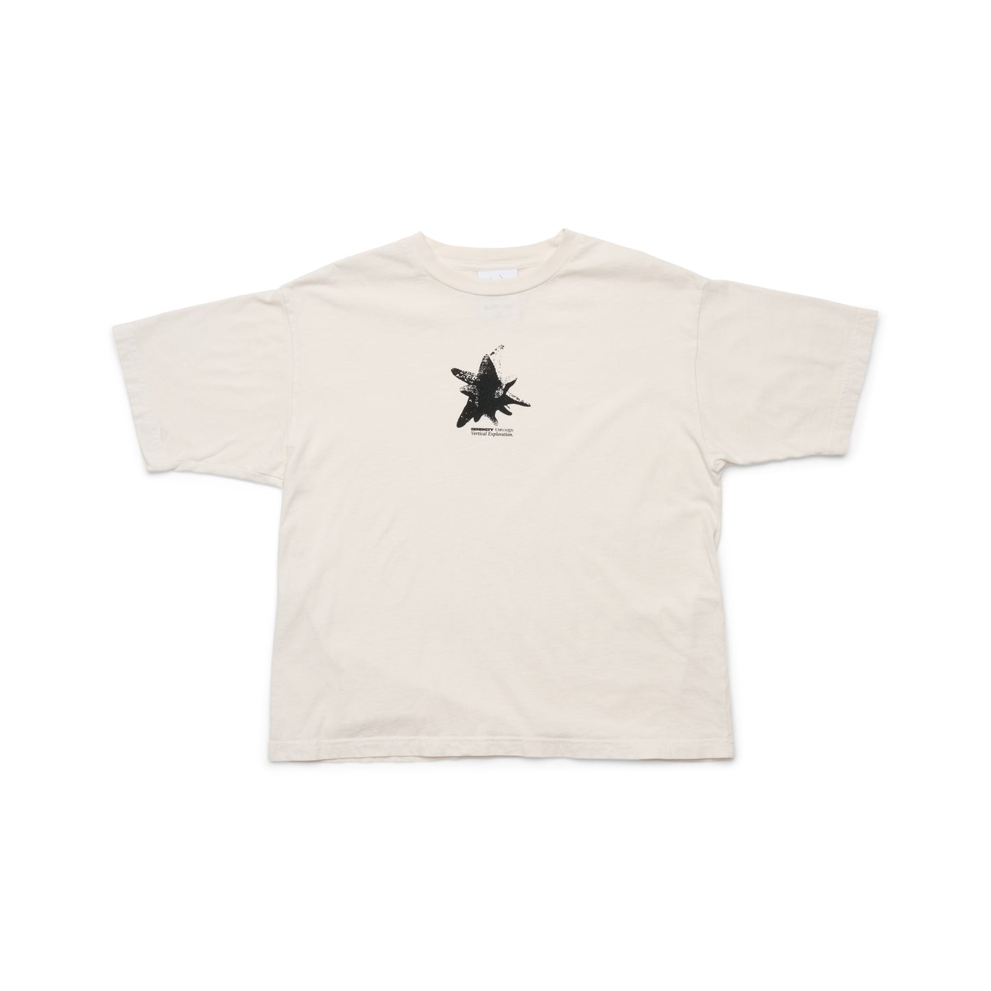 Lunar Rock